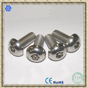 Stainless Steel Screw, Stainless Steel Anti-Theft Screw